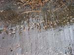 Quabbin_002