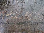 Quabbin_005