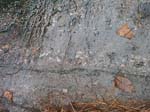 Quabbin_006