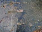 Quabbin_013