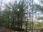 Quabbin_014