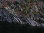 Quabbin_018