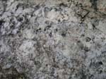 Quabbin_022