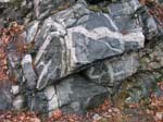 Quabbin_026