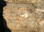 Quabbin_034