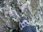 Quabbin_040