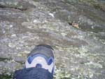 Quabbin_041