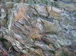 Quabbin_043