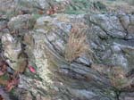 Quabbin_044