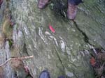Quabbin_050