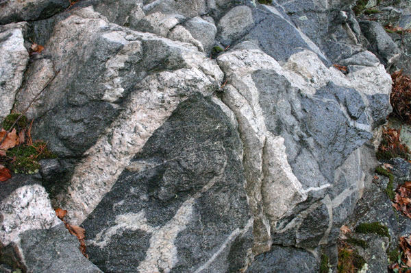 Quabbin_020a
