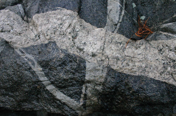 Quabbin_022a