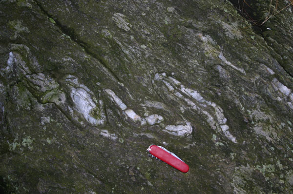 Quabbin_034a