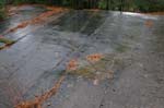 Quabbin_001a