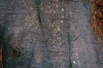 Quabbin_002a