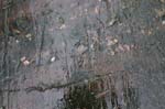 Quabbin_003a