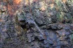 Quabbin_013a