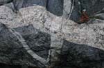 Quabbin_022a