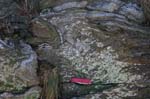 Quabbin_030a