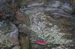 Quabbin_031a