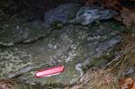 Quabbin_032a