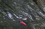 Quabbin_033a