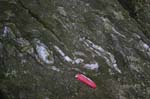 Quabbin_034a