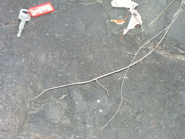 Route_5_014