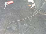 Route_5_014