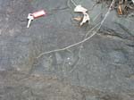 Route_5_015
