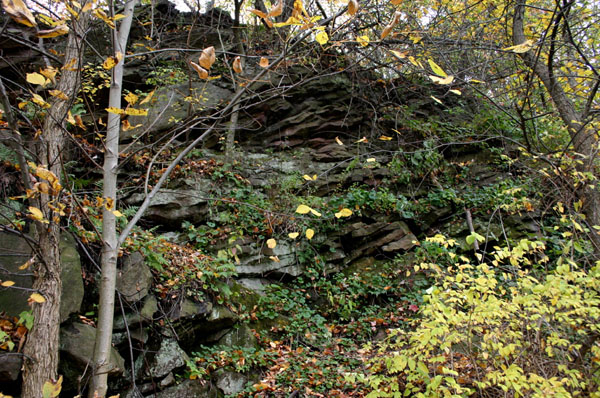 Route_5_011a