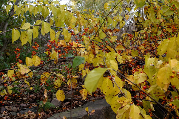 Route_5_012a