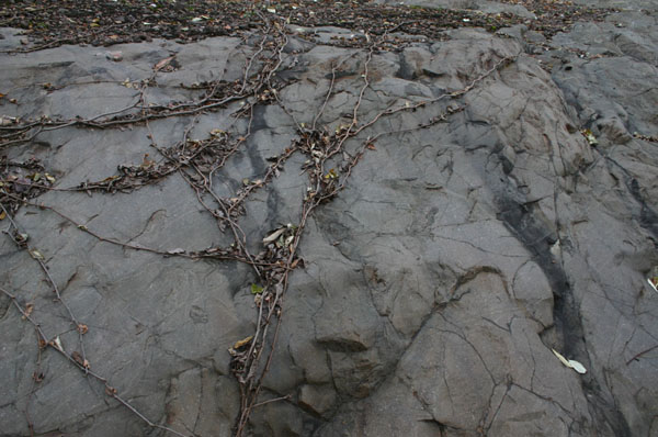 Route_5_013a