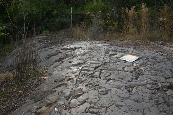 Route_5_017a