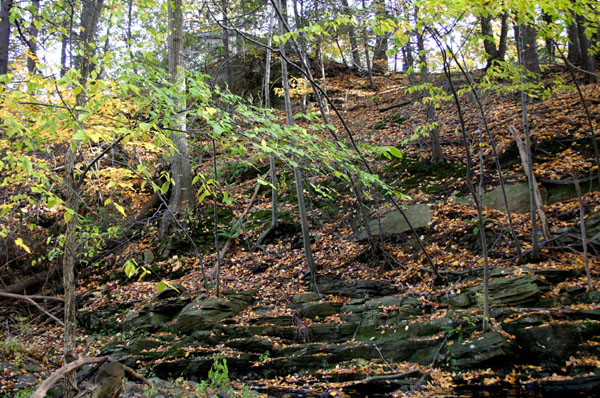 Route_5_028a