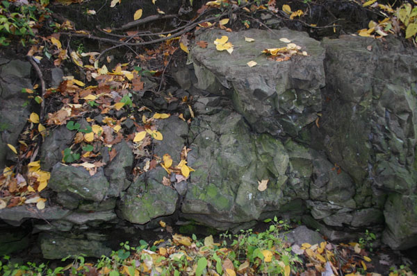 Route_5_036a