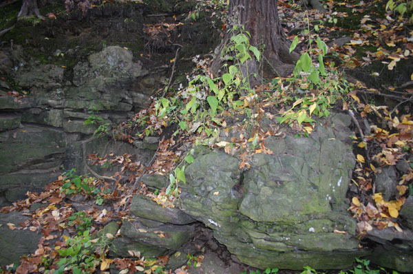 Route_5_037a