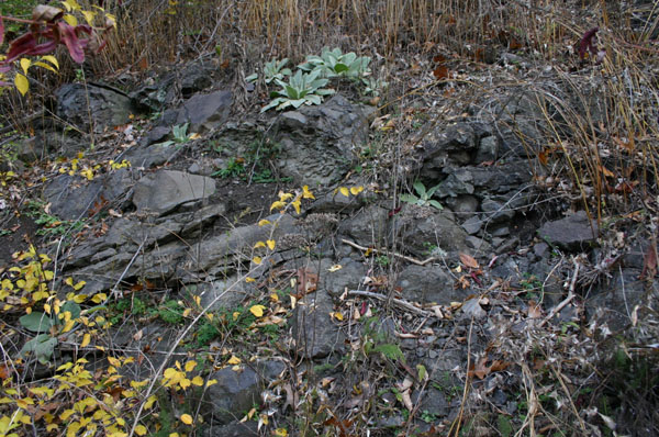 Route_5_048a