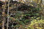 Route_5_011a