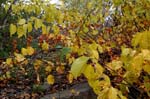 Route_5_012a