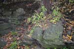 Route_5_037a
