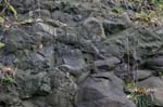 Route_5_038a