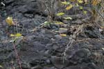 Route_5_039a