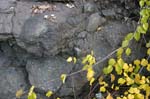 Route_5_040a