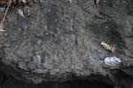 Route_5_042a