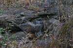 Route_5_046a