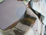 Shelburne_Falls_011