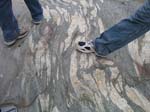 Shelburne_Falls_030