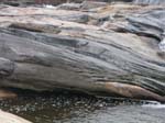 Shelburne_Falls_036