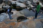 Shelburne_Falls_004a